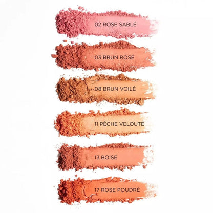 BLUSH - POWDER